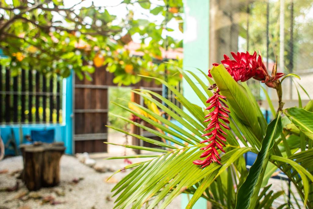 Zahrada ubytování Argdivan Beach Hostel