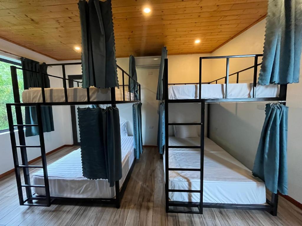 Eco by May5 Hotel - Forest & Sea View - 12