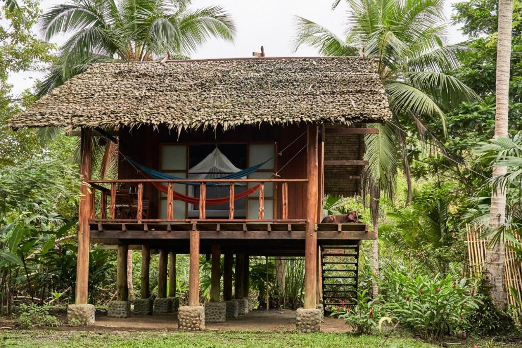 Zahrada ubytování Jardín Botánico del Pacífico y Mecana Ecohotel