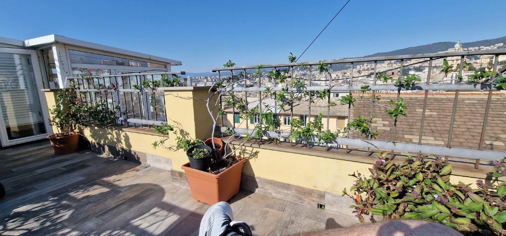 a balcony with potted plants on a building at La Cabina del Capitano in Genova