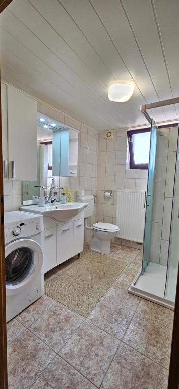 Koupelna v ubytování Apartma AJJA
