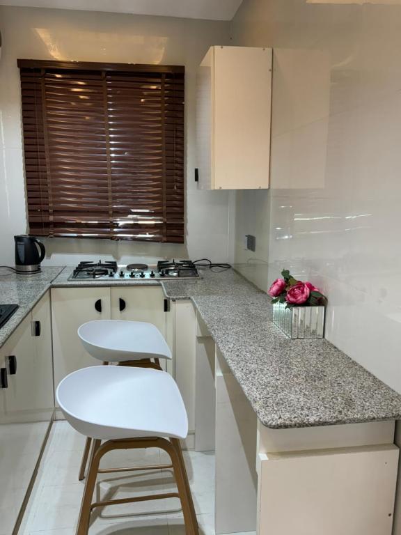 Kuchyň nebo kuchyňský kout v ubytování Five Palms One Bedroom Pent House Apartment