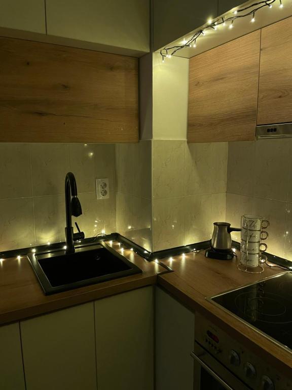 A kitchen or kitchenette at Apartman Raj