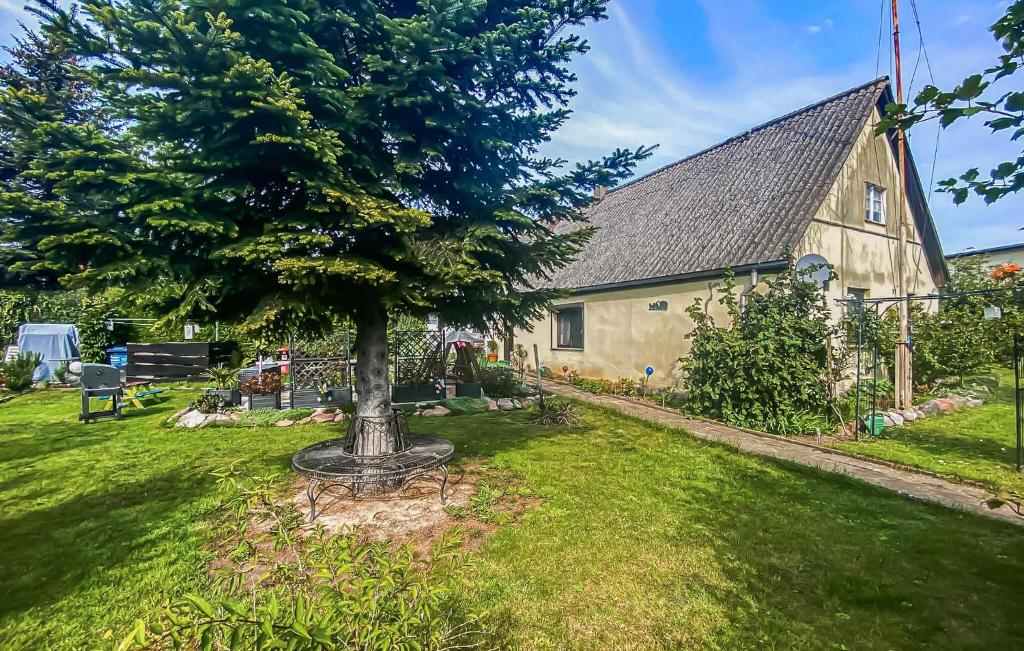 a house with a tree in the yard at Ferienhaus Reetzowusedom in Reetzow