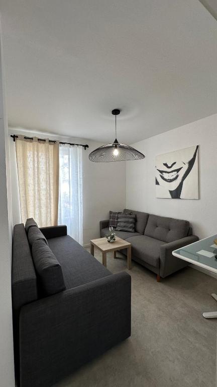 un salon avec un canapé et une table dans l'établissement Appartement neuf, centre-ville, 400m de rivetoile 6 voyageurs, à Strasbourg