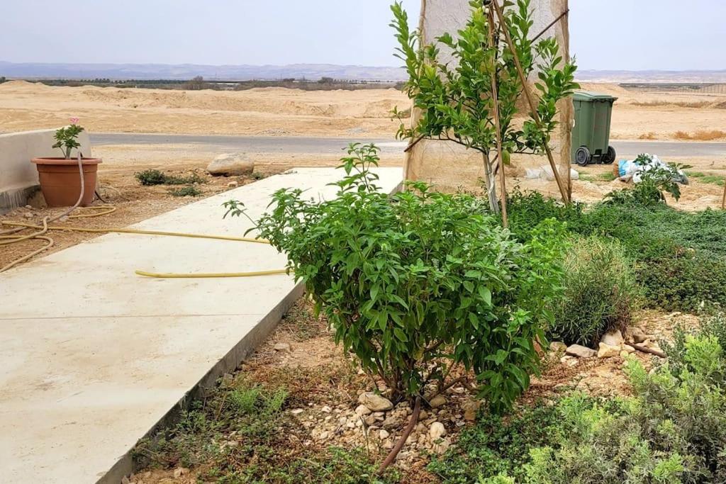 Zahrada ubytování בקתה וטבילה במדבר