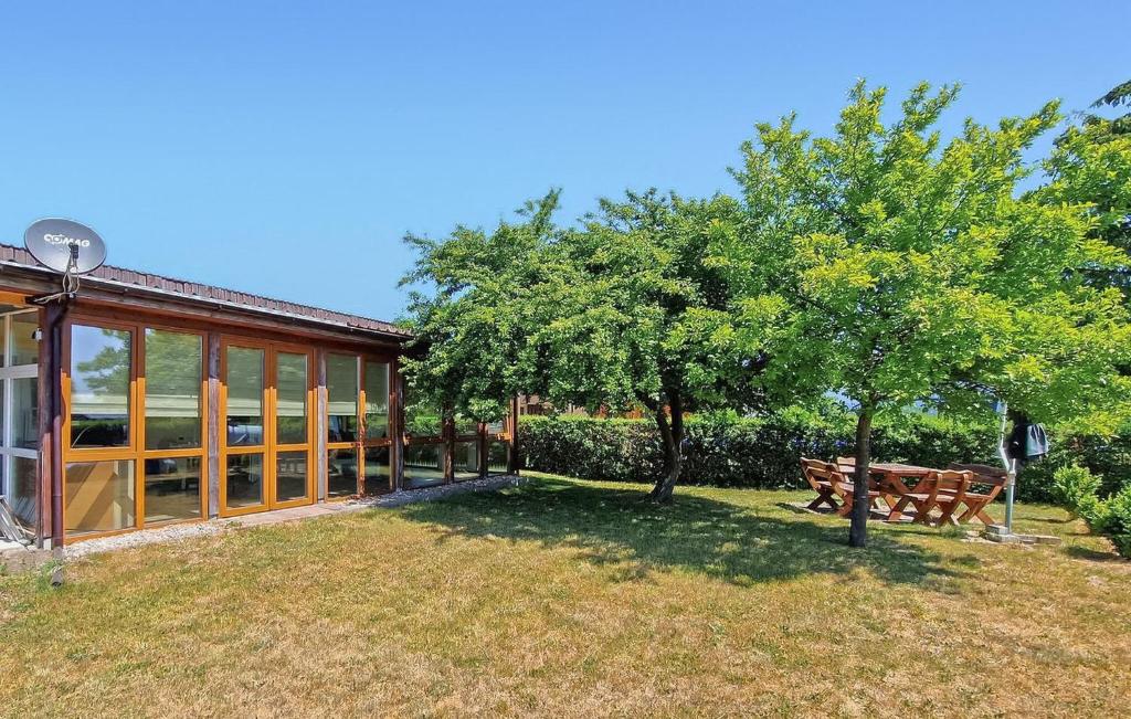 a house with a tree and a bench in the yard at Doppelhaushälfte Blankensee in Wanzka