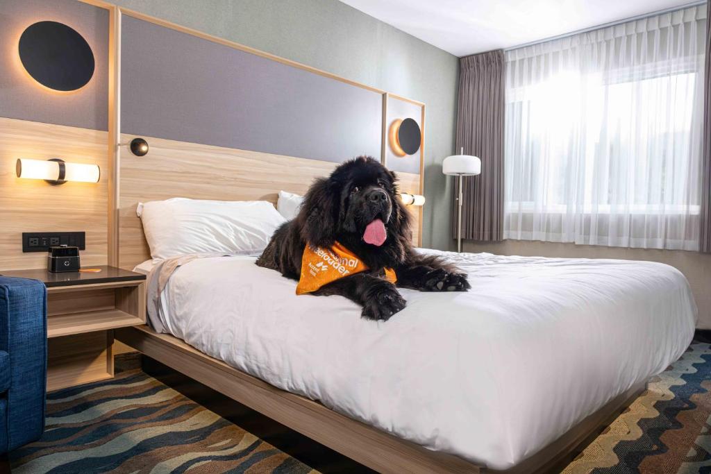 Postel nebo postele na pokoji v ubytování Accent Inns Kelowna