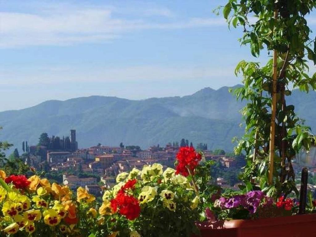 een uitzicht op een stad met bloemen op de voorgrond bij Il Trebbio in Barga