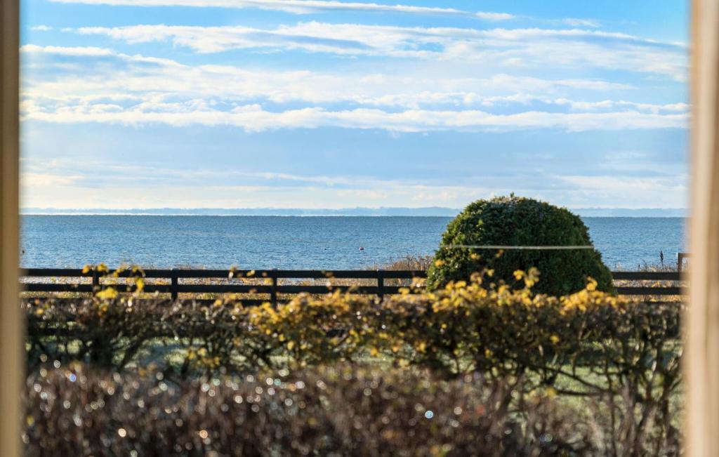 a bush on the beach with the ocean in the background at Stunning Home In Haderslev With Wifi in Haderslev