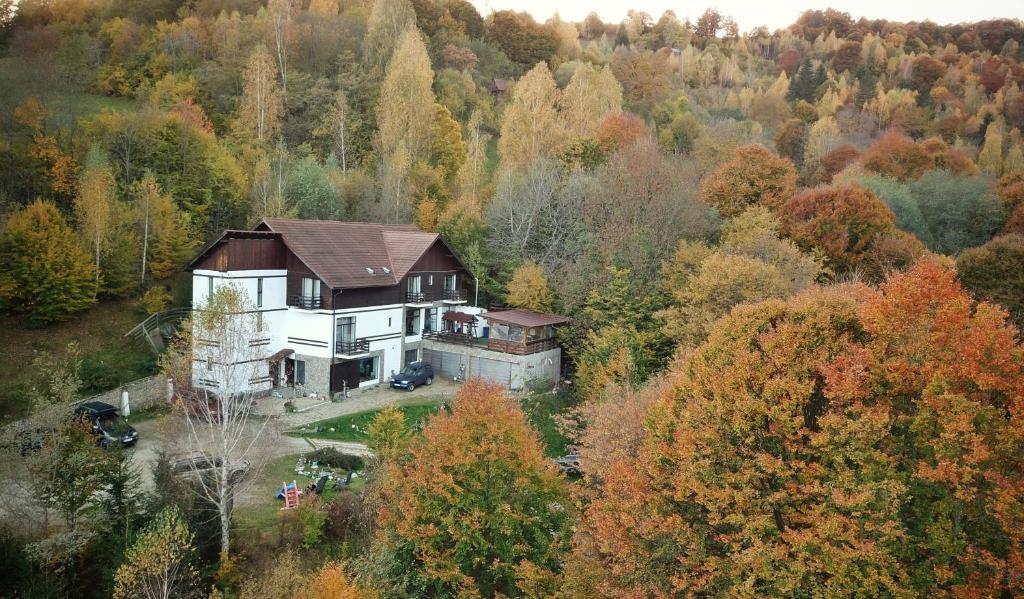 a large house in the middle of a forest at Pensiunea Glasul Pădurii in Braşov
