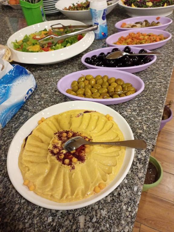 Petra voyager Hostel