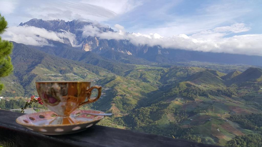 Kampong KundassanにあるCrystal Hill Rの山の景色を望む棚