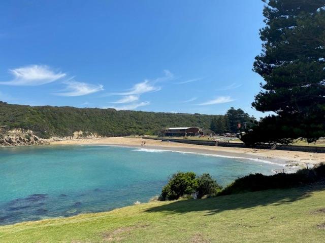 a view of a beach with a tree and the ocean at Southern Ocean Motor Inn in Port Campbell
