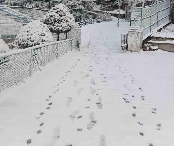 达纳尔蒂The Devan Wood Resort的雪地覆盖着人行道,在雪地里留下脚印
