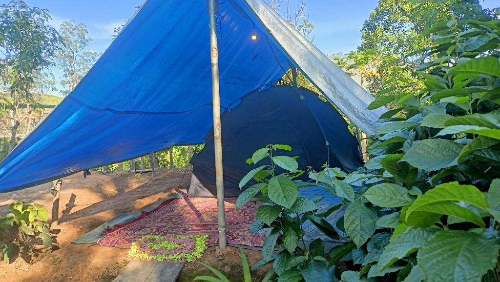 Zahrada ubytování Freedom camp Ella