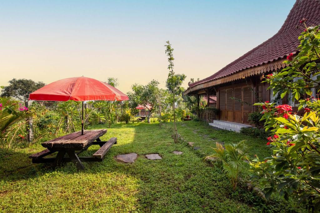Zahrada ubytování JavaLO Villa Lombok