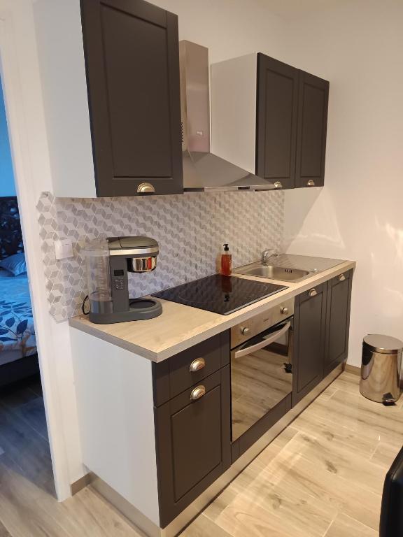 Kuchyň nebo kuchyňský kout v ubytování gîte dans endroit atypique