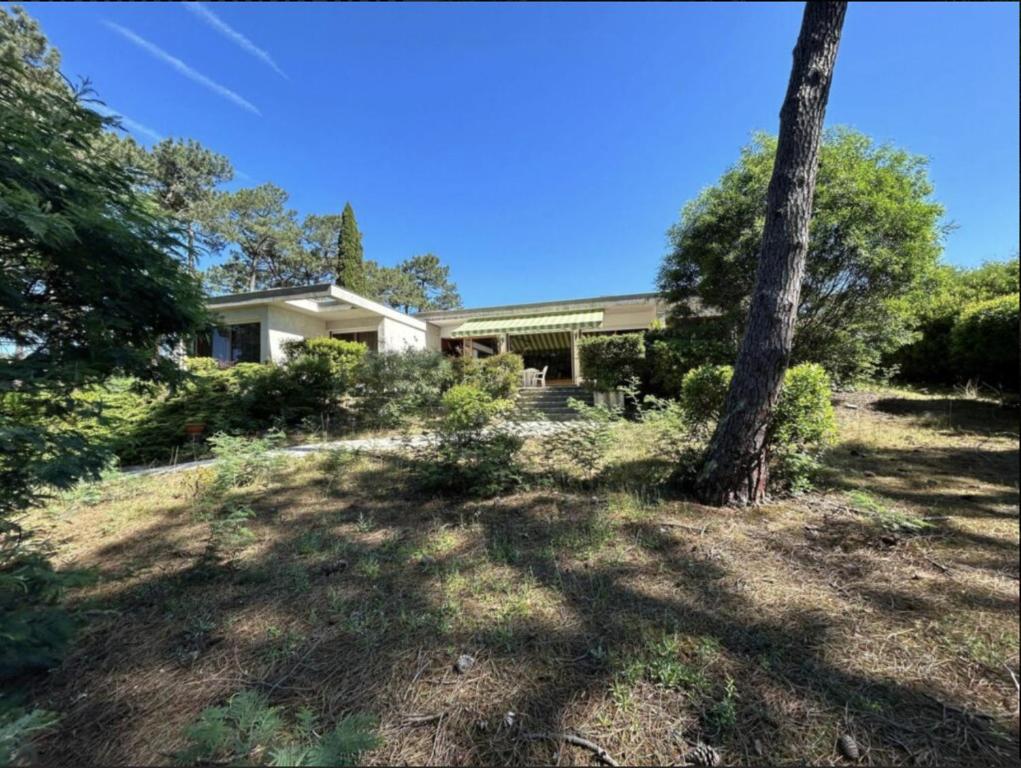 une maison avec un arbre devant dans l'établissement VIlla MARGUERITE, à Lège-Cap-Ferret