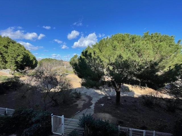 un arbre au milieu d'un champ avec une clôture dans l'établissement 087 CAP CITY CAP D'AGDE Studio proche commerce 4 personnes avec parking, au Cap d'Agde