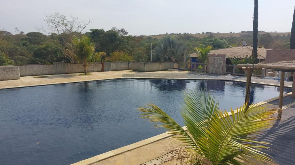 una piscina con una palma di fronte di Rancho Thellys a Luziânia