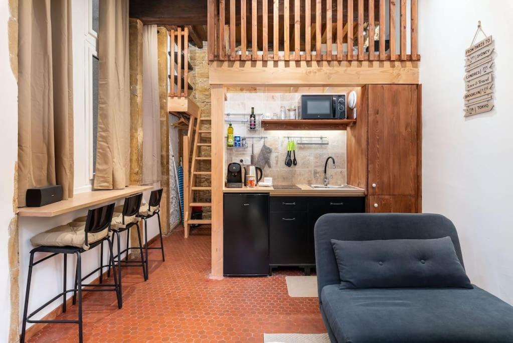 un salon avec un canapé et une cuisine dans l'établissement Le Cocon de Saint-Jean, à Lyon