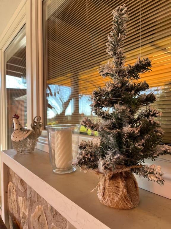 Kép Sweet home szállásáról Costermanóban a galériában