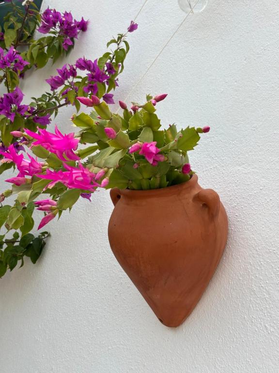 Fotografie z fotogalerie ubytování Casa Alta B&B v destinaci Torrox