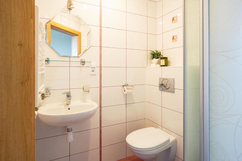 a bathroom with a toilet and a sink at Willa Sasanka in Duszniki Zdrój
