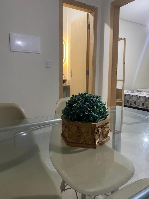 a wooden box on a glass table with a plant at Top Coliving II in Cuiabá