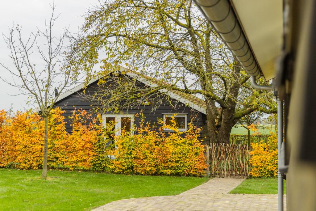 Vườn quanh Vakantiehuis De Bonte Specht