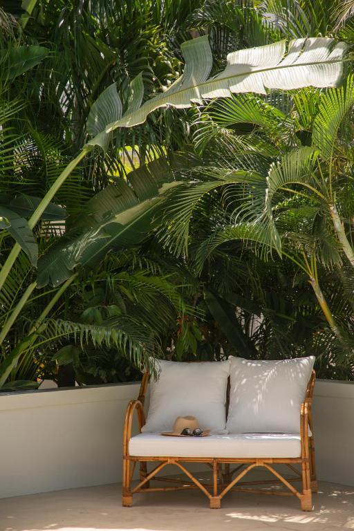 Zahrada ubytování Maison Tropical