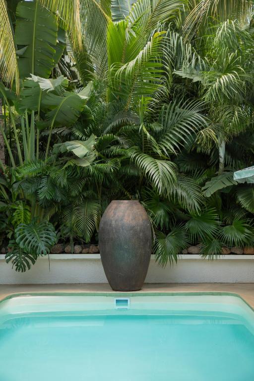 Bazén v ubytování Maison Tropical nebo v jeho okolí