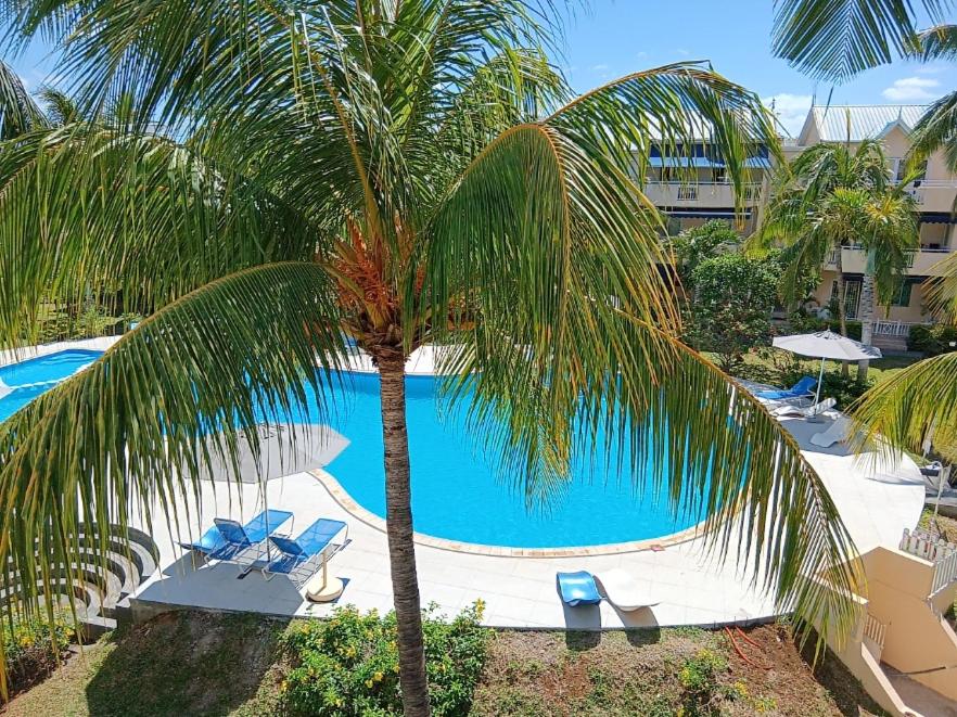 Swimmingpoolen hos eller tæt på Pool View Loft Apartment