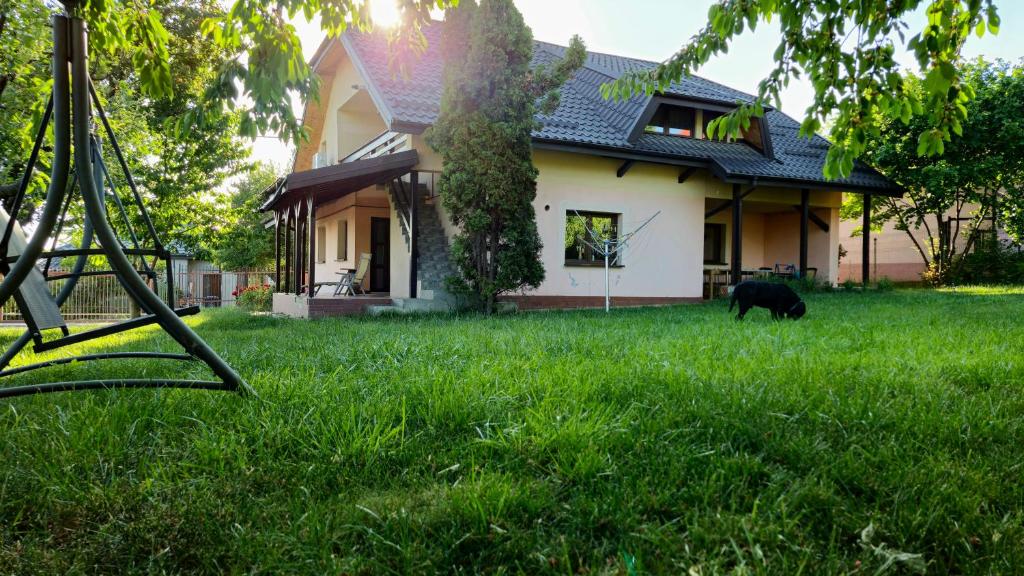 雅西Goodvibes 3 bedrooms rezidence的站在房子前面的草地上的狗