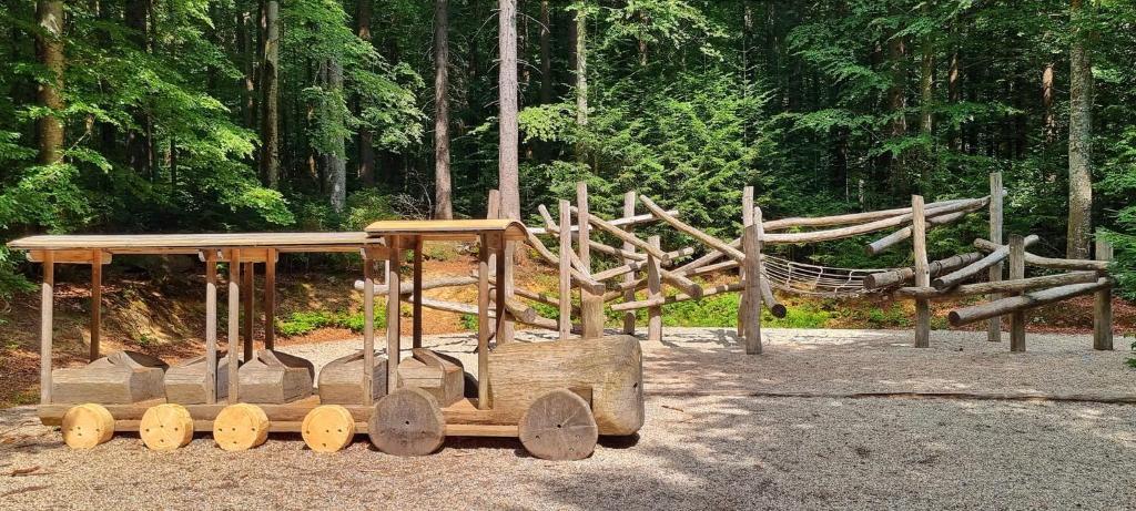 Waidlerland Waldkirchen Chalets - 10