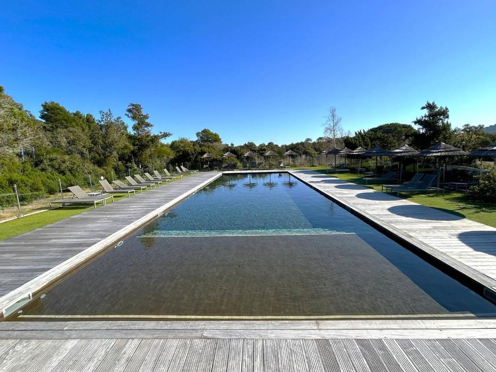 une grande piscine avec des chaises longues et des arbres dans l'établissement Appartement T2 Pieds dans l'eau Santa Giulia, à Porto-Vecchio
