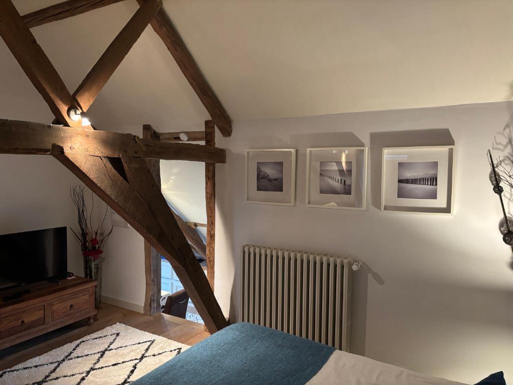 TV a/nebo společenská místnost v ubytování Hamiora wellness B&B