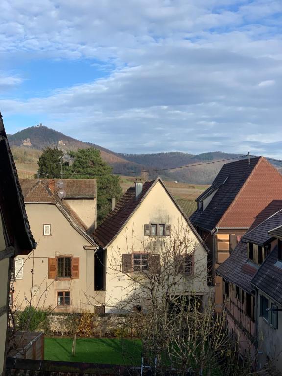 CHEZ SUZEL – photo 18