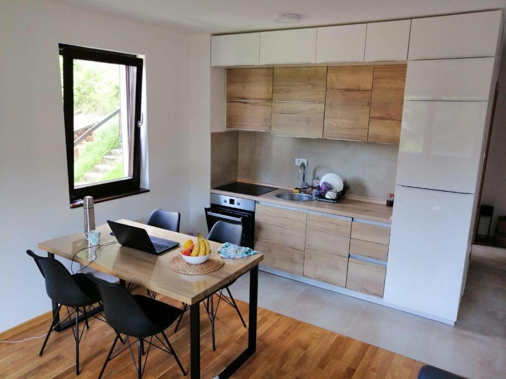 Vila Irina Kopaonik - Apartamento Familiar De Una Habitación