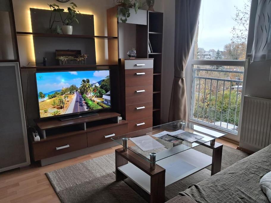 Televisyen dan/atau pusat hiburan di Pilikán Apartments Keszthely - Yacht Port Balaton