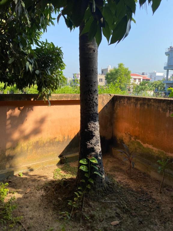 Foto sihtkohas Shānti Niketan asuva majutusasutuse Kraunchawdip Homestay galeriist