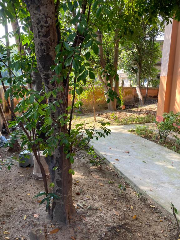 Aed väljaspool majutusasutust Kraunchawdip Homestay