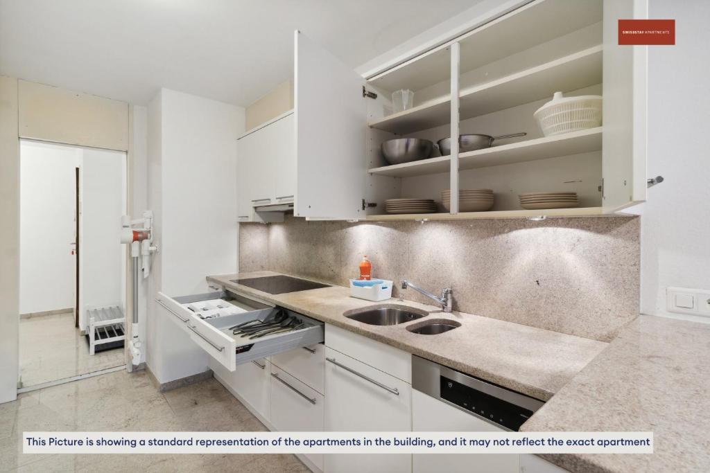 Spacious Apartment in Zurich - Resim 3