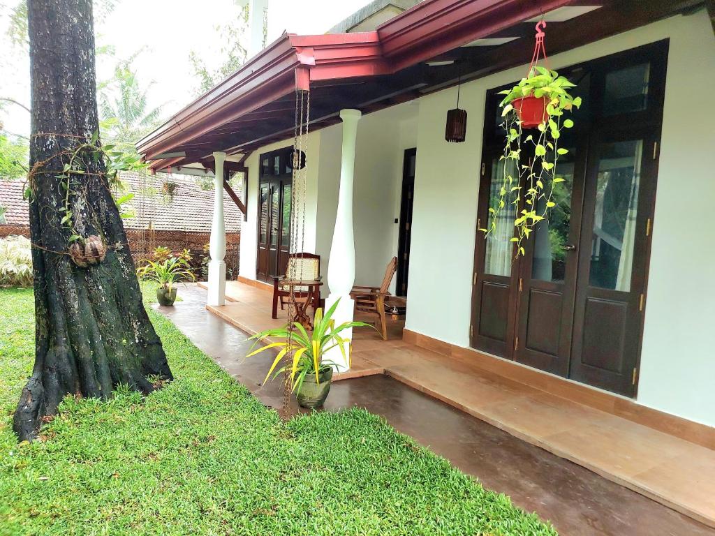 Zahrada ubytování Blueray Villa