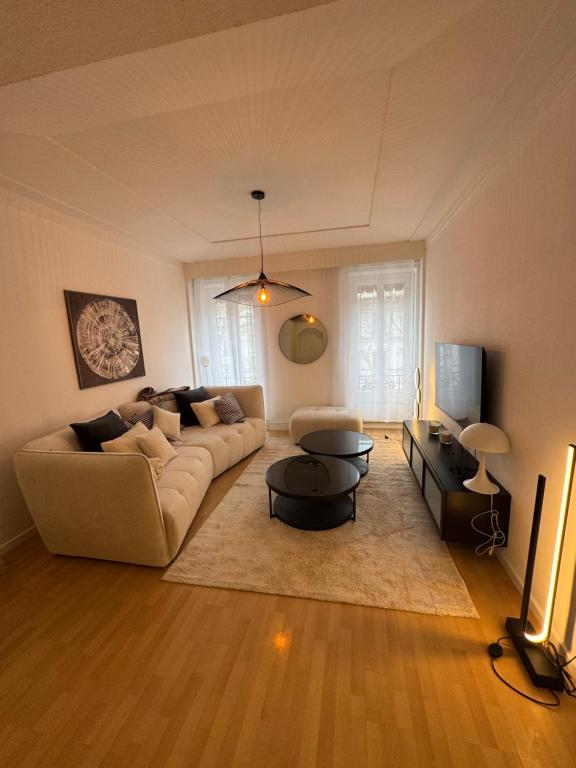 un salon avec un canapé et une télévision dans l'établissement Boulevard des Belges, Cœur du sixième, à Lyon