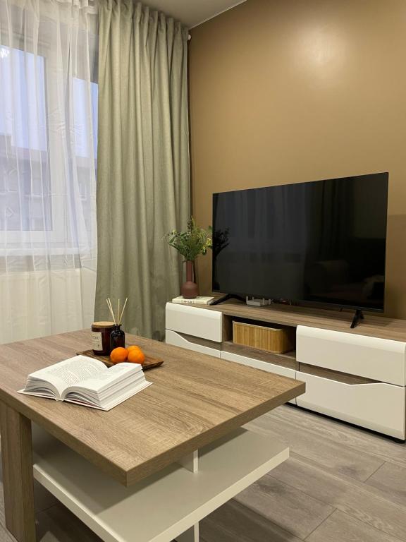 TV a/nebo společenská místnost v ubytování ZimApartment