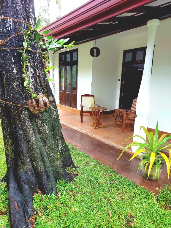 Zahrada ubytování Blueray Villa