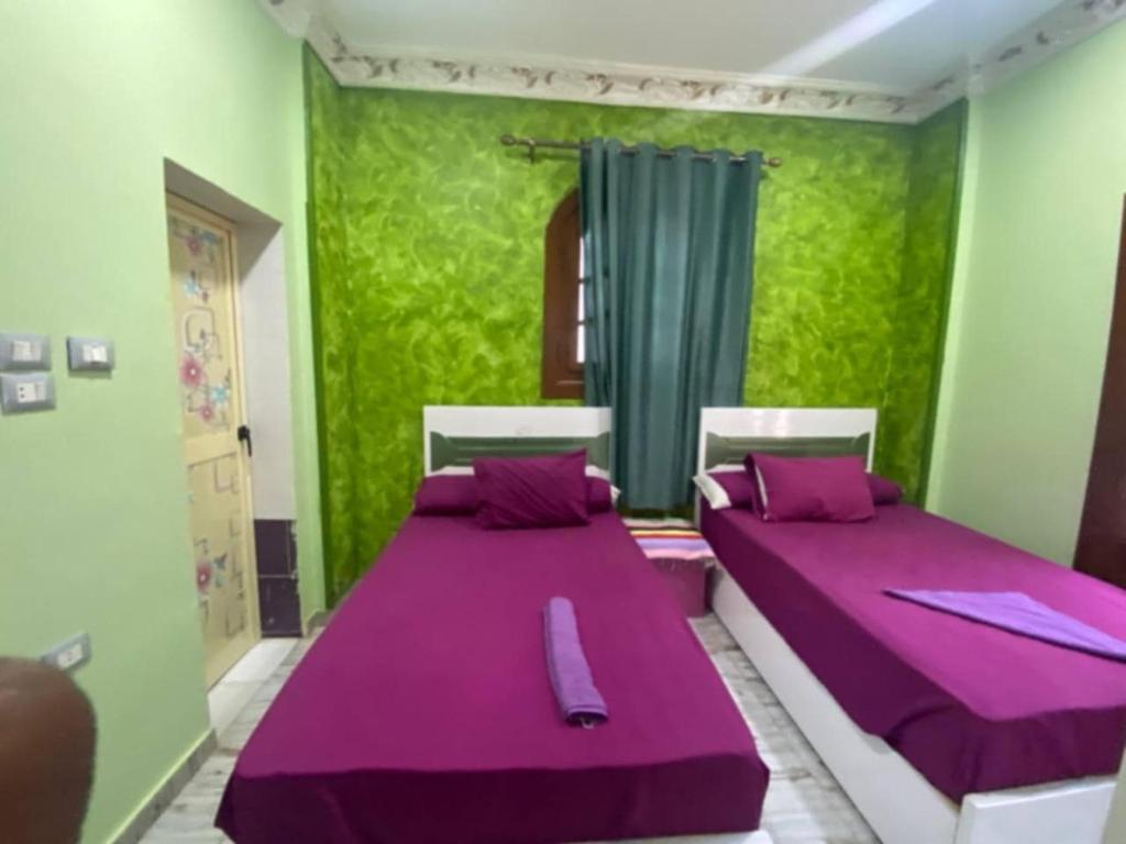 Postel nebo postele na pokoji v ubytování Sunrise shiny Nubian Guest House
