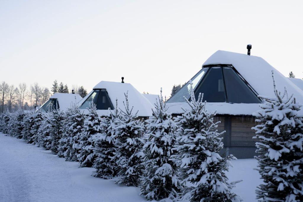 Reindeer Manor Levi v zimě